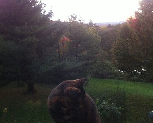 view off front porch