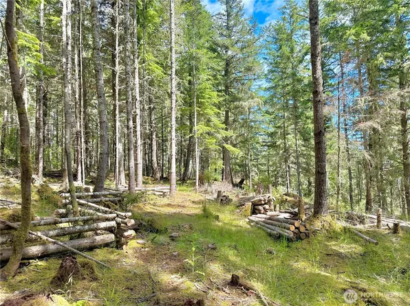 0 Lot B Pioneer Hill Road, Orcas Island, WA 98279