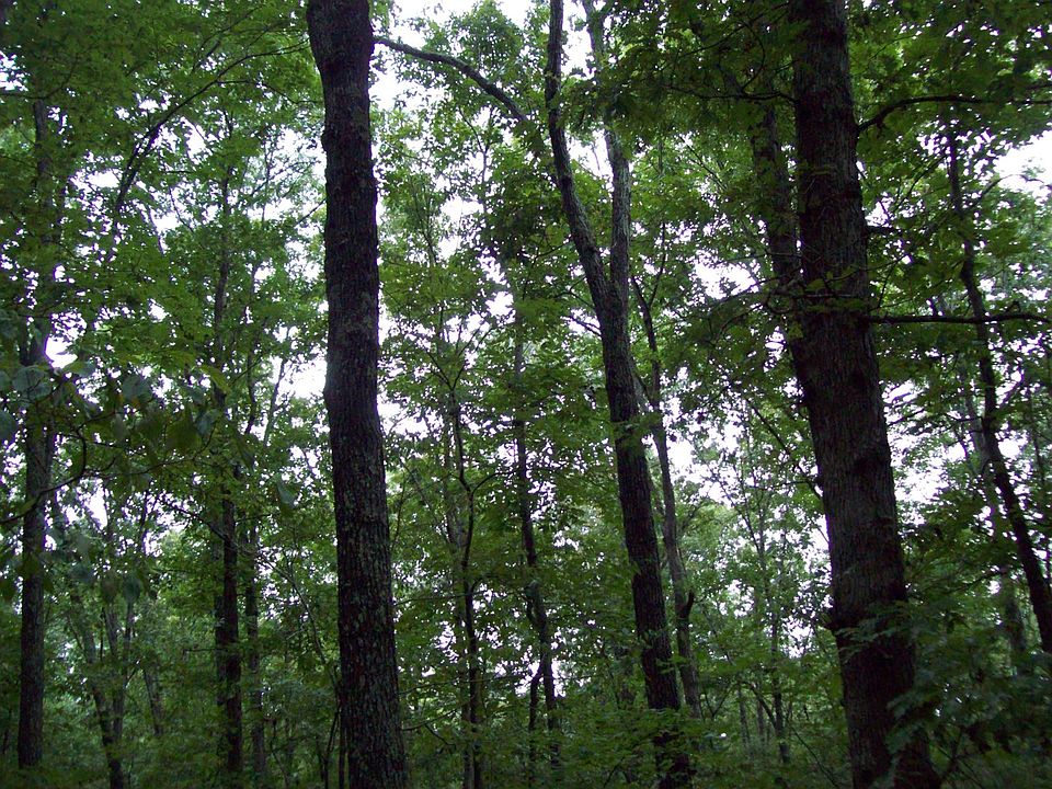 1st image of 58576 Highway 49