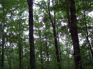 58576 Highway 49, Des Arc, MO 63636