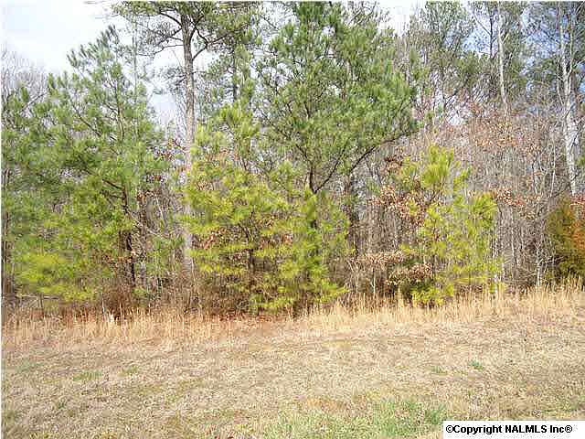 1st image of 30778 Mill Race Dr