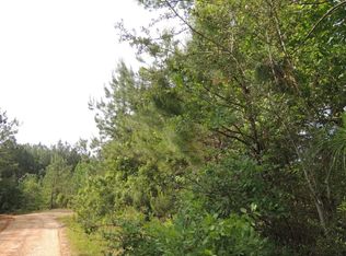 40 Harmon Ford Ln, Lumberton, MS 39455