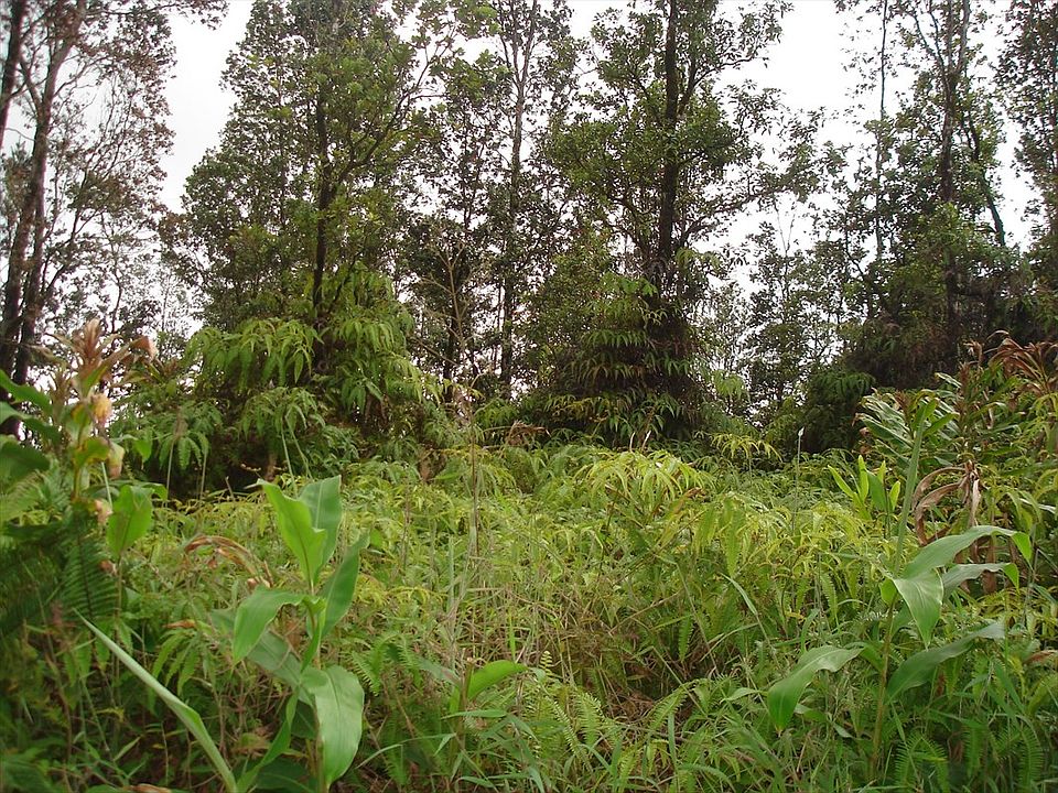 2nd image of Opalipali St Lot 7