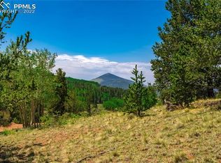 1649 Yorktown Rd, Cripple Creek, CO 80813