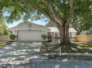 2893 Cinnamon Bear Trl, Palm Harbor, FL 34684