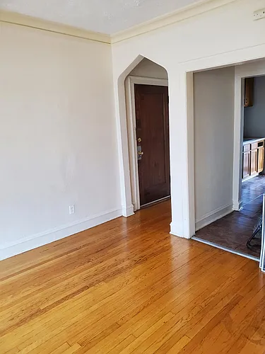 7919 S Saint Lawrence Ave #3A Photo 1