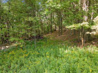 2468 Tower Mountain Rd #9, Stamford, NY 12167