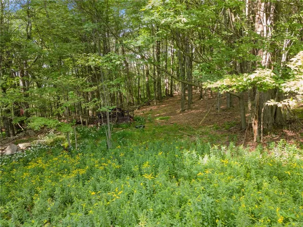 2468 Tower Mountain Rd #9, Stamford, NY 12167
