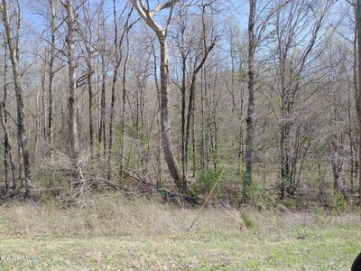 Meadow Road West Rd, Greenback, TN, 37742
