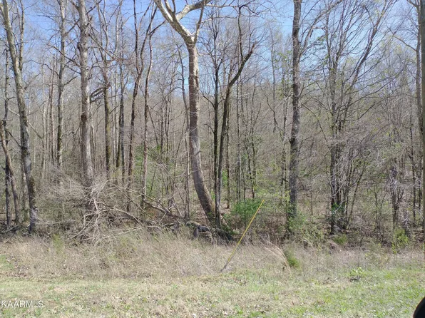 Meadow Road West Rd, Greenback, TN 37742