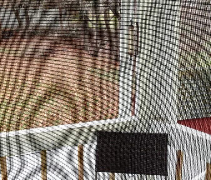 Private rear deck overlooking tree-line back yard with no al