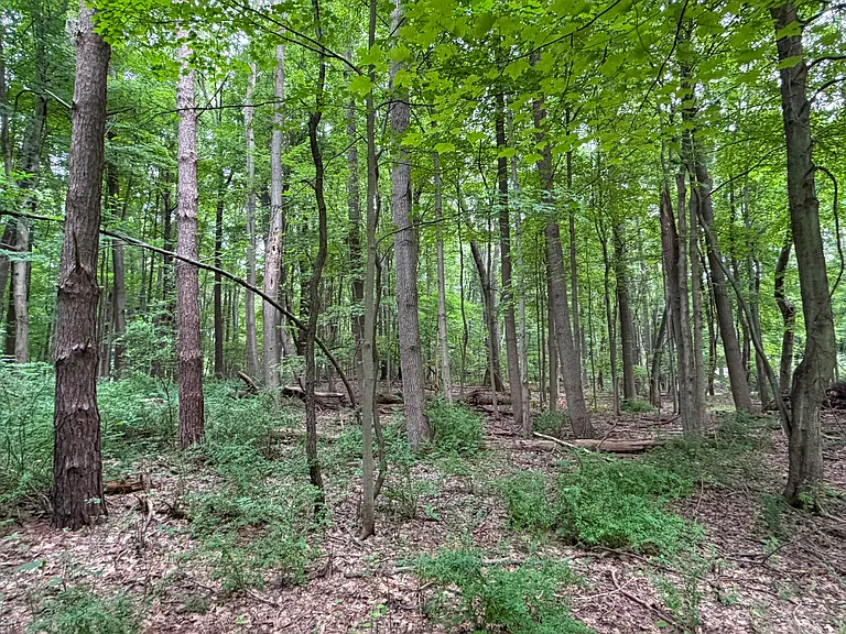8274 Ellis Rd — Photo 30