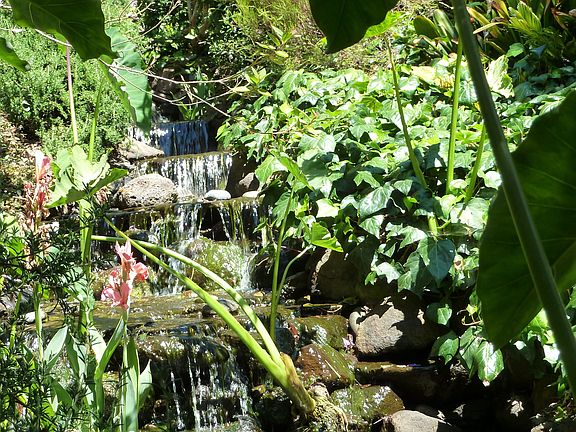 Wonderland Creek falls over 40 feet into the water lilies of the lower pond.