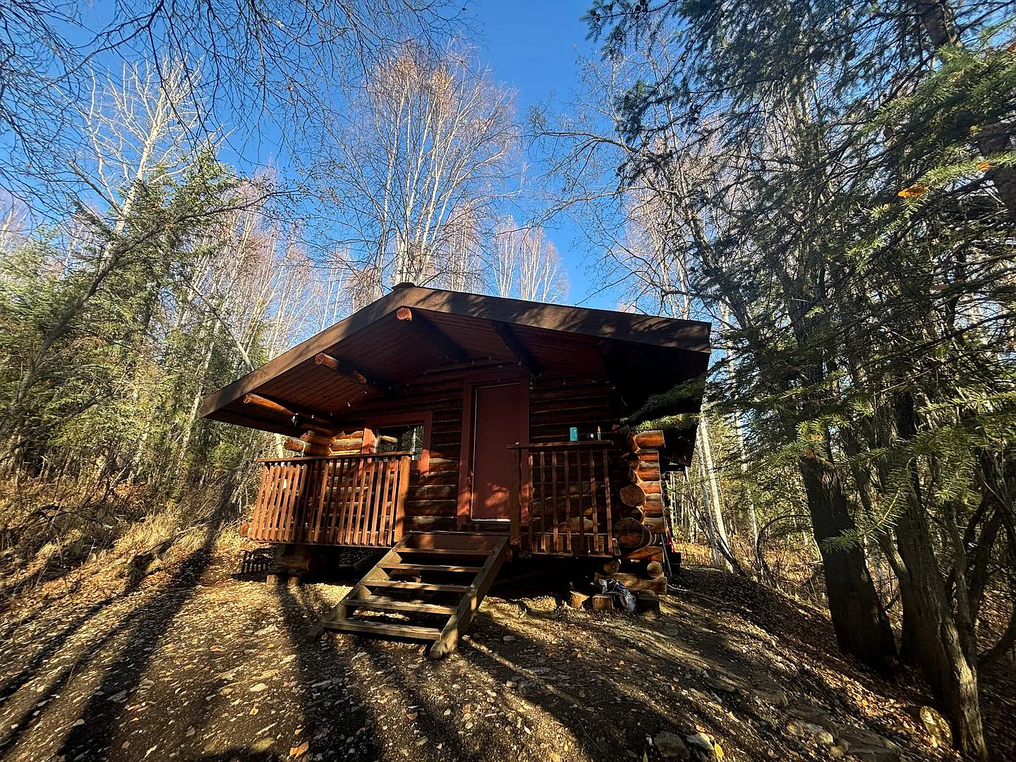 Dry cabin off Goldstream / Dog friendly — Photo 1