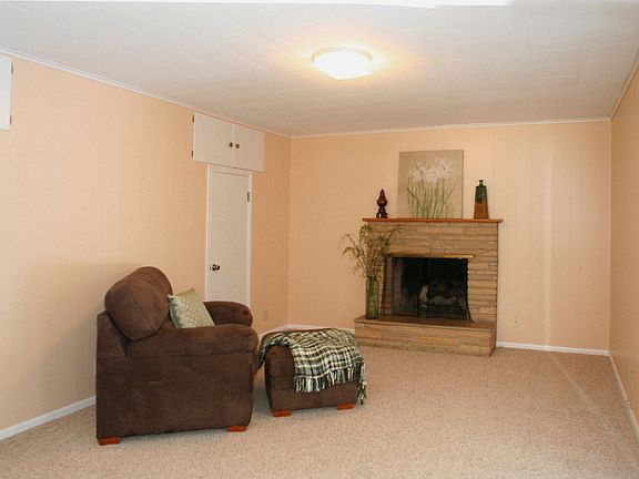 New Carpet & Fireplace in Family Room