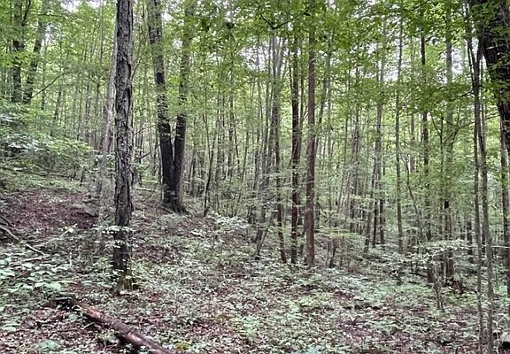 3rd image of 0 Trackrock Gap Rd