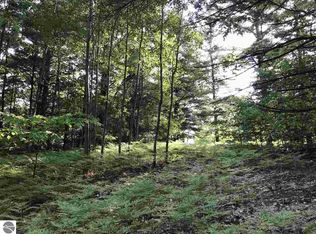 5351 Glendenning Trl, Williamsburg, MI 49690