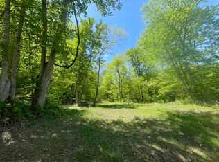 Big Hurricane Creek Rd, Prichard, WV 25555