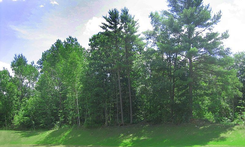 2nd image of 13 Deer View Caterall