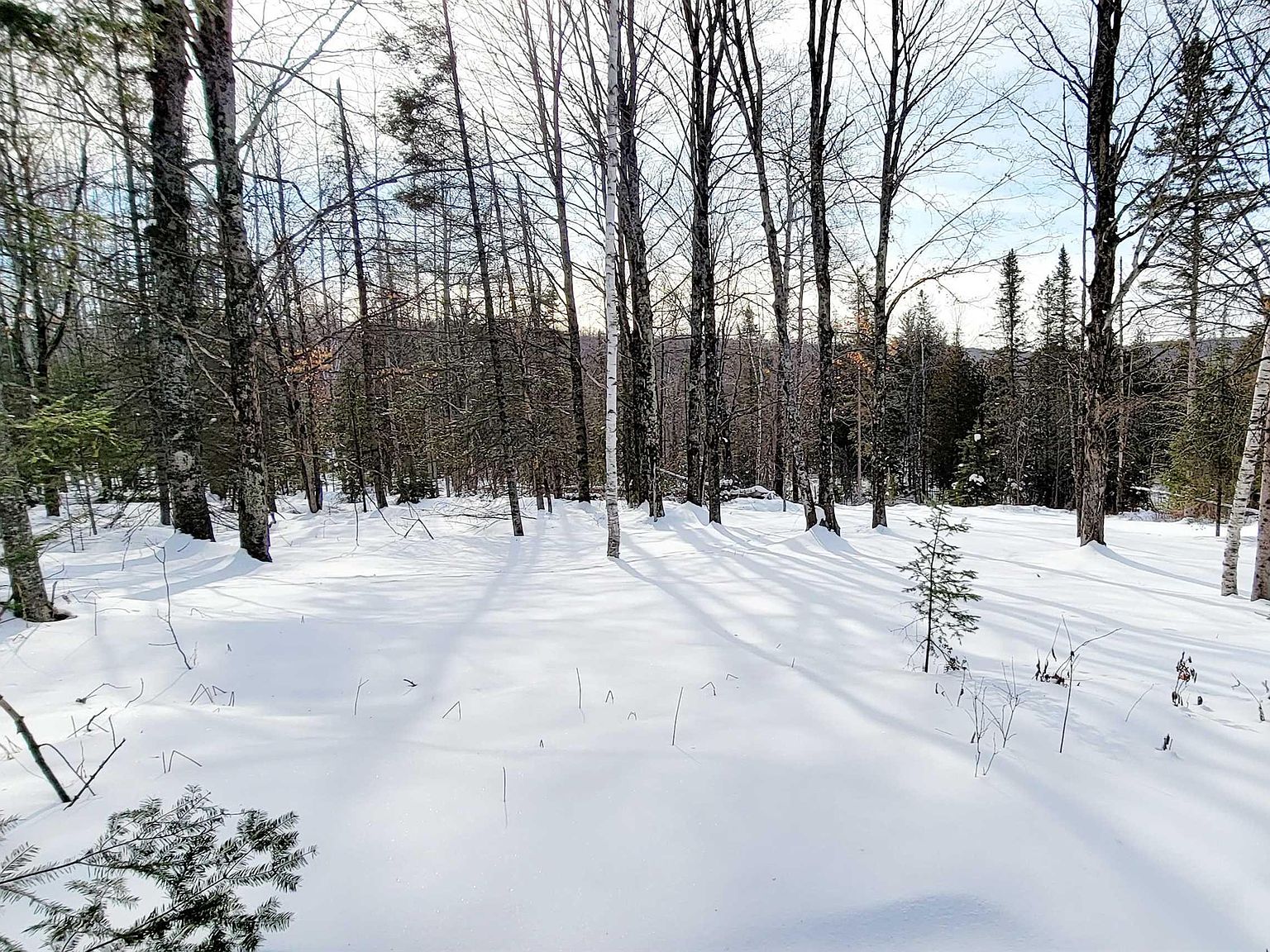 6416N6416 Waucedah Rd, Foster City, MI 49834 Zillow