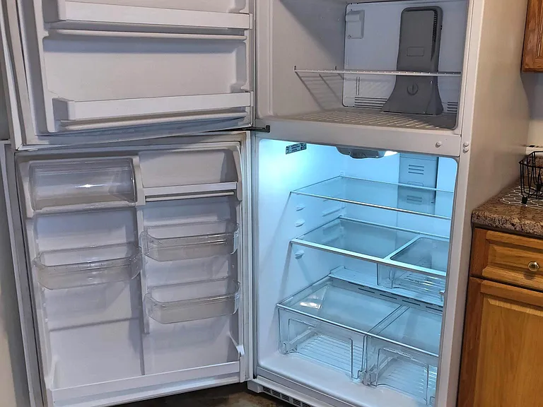 Kitchen - full sized fridge
