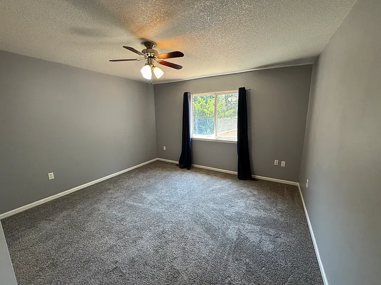 1125 Newfoundland Dr — Photo 6