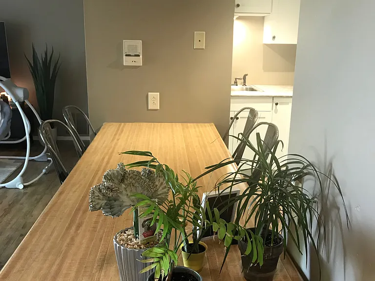 607 Bonnie Brae Dr — Photo 6