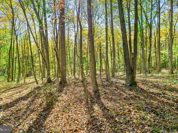 94.5 Crest Hill Rd, Marshall, VA 20115