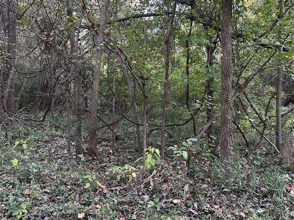 0 Corisande Hills Rd, Fenton, MO 63026