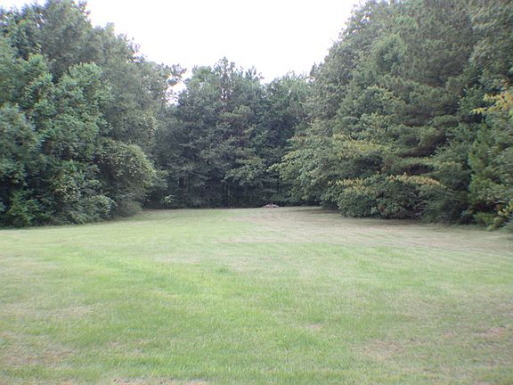 Large backyard