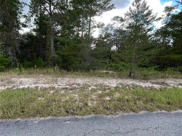 6 Heuchera Ct E, Homosassa, FL 34446