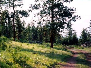 103 Red Feather Rd, Riverside, WA 98849