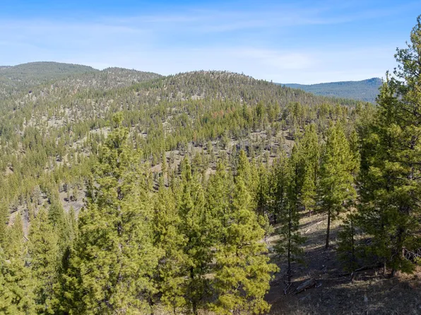 NE Turner Creek Rd, Prineville, OR 97754