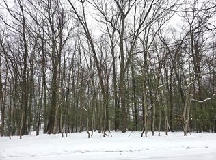 Vl Trail Of The Lakes, Baldwin, MI 49304