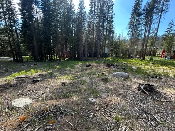 7248 Sierra Pines Rd, Twin Bridges, CA 95735