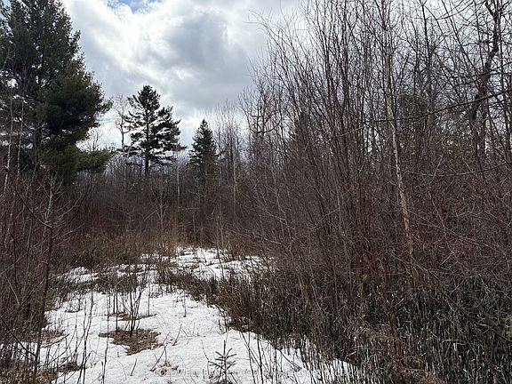 4th image of 2035 Ventnor Rd