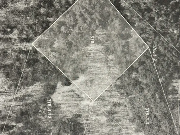 Barney Hollow Rd, Downsville, NY 13755