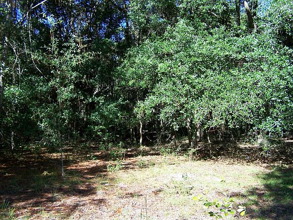 Photo from inside middle of the property