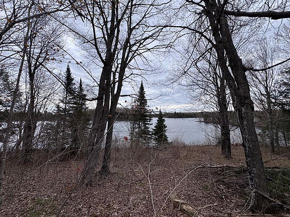 3rd image of 0 W Nagles Rd #1
