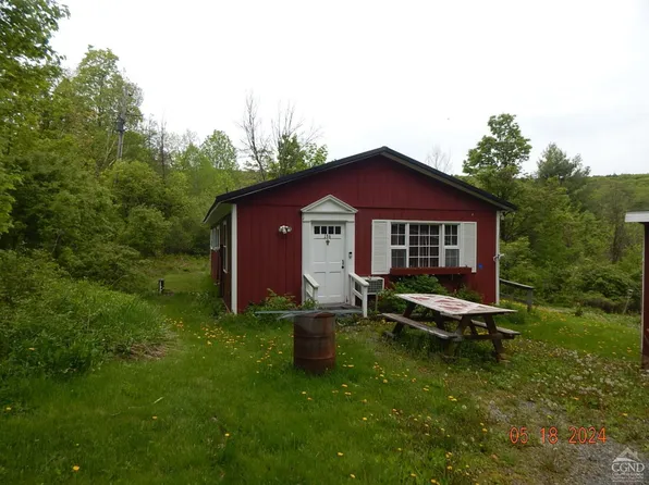 136 Schuessler, Conesville, NY 12469