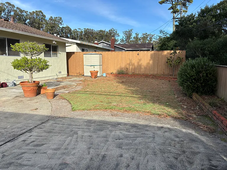 Backyard