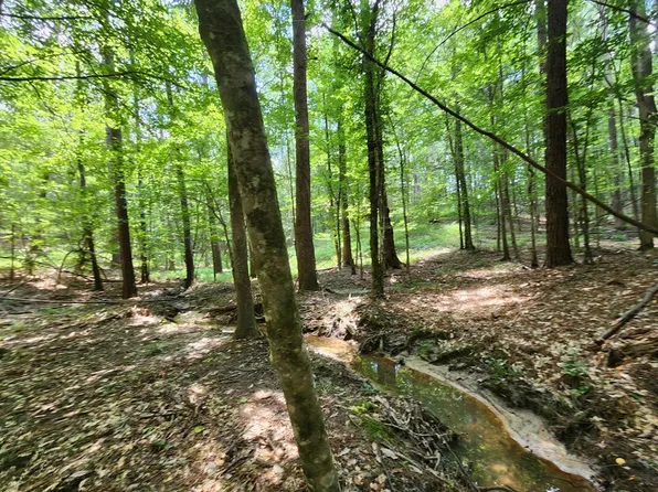 NE Bahalia Rd, Brookhaven, MS 39601