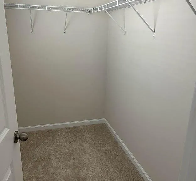 5781 Soft Shell Dr — Photo 19