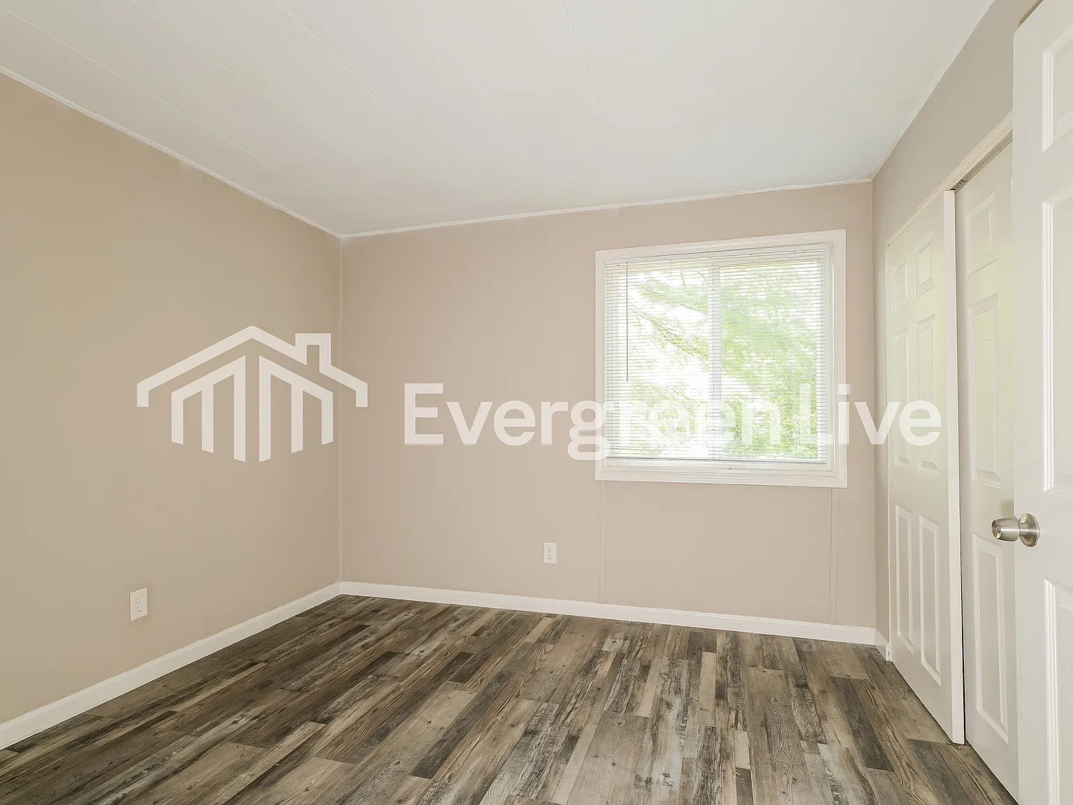 3 bed, 1.0 bath, 792 sqft, $1,445 — Photo 3