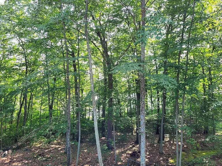 2399 Bay Rd — Photo 33