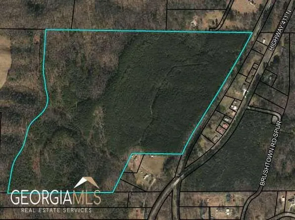 0 Highway 411 N, Crandall, GA 30711