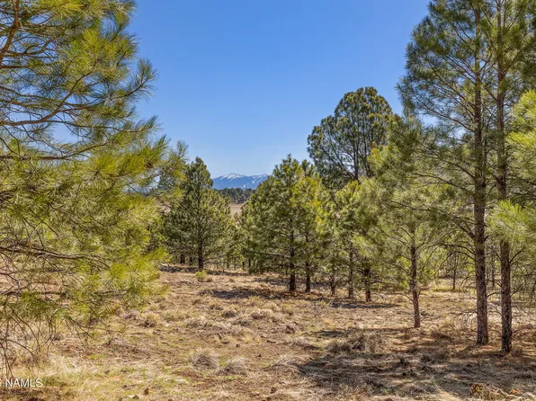 747 N Davenport Lake Rd, Williams, AZ 86046