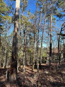 39 Pertusa Dr, Hot Springs Village, AR, 71909