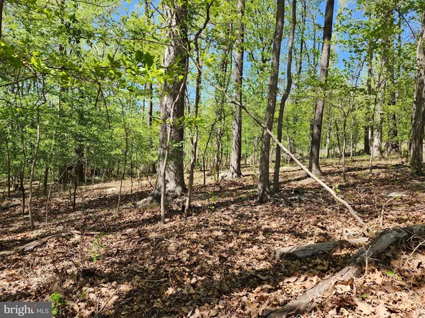 2A Bear Pond Rd, Harpers Ferry, WV 25425