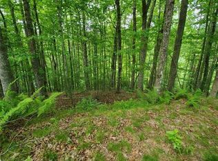 141 River Club Trl #8, Marshall, NC 28753